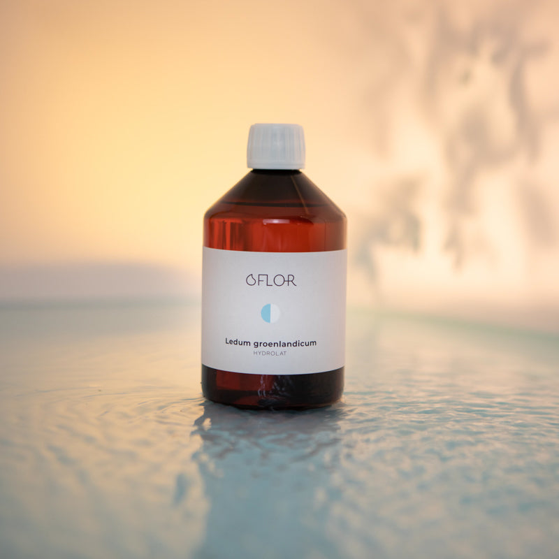 Hydrolat de Ledon du Groenland